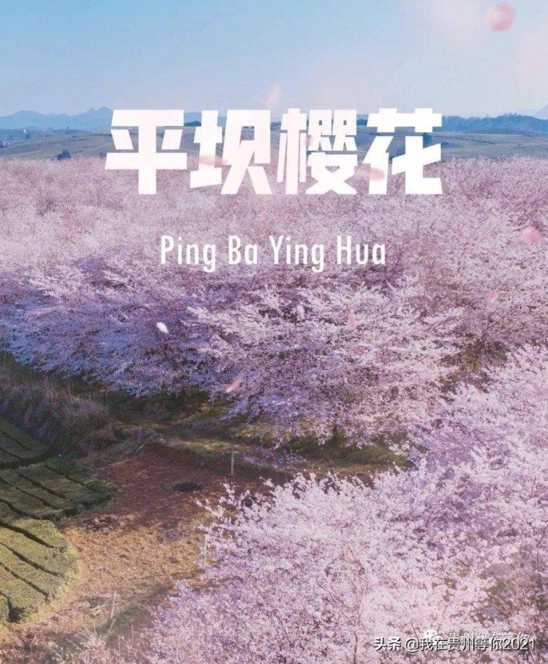 望儿山的地理特征是怎样的？游戏画面